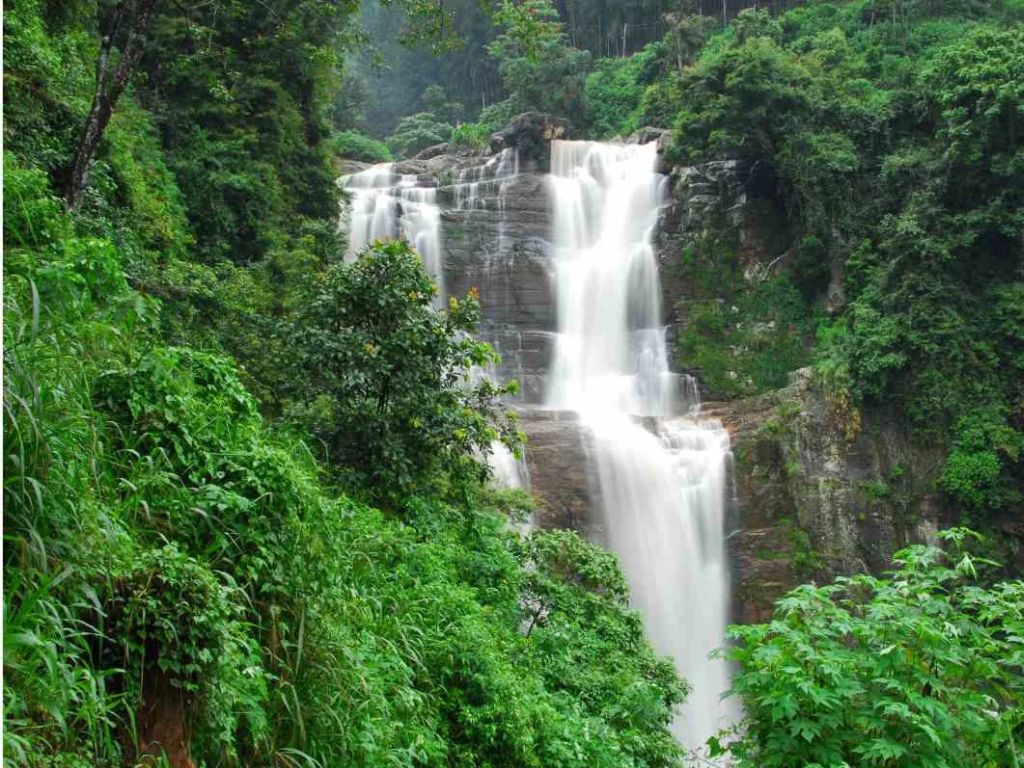 12-Day Grand Heritage & Nature Tour in Sri Lanka